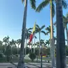 Olivia MacLean - @mexico2025____ - TikTok