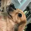 olivia - @oliviamaclean - TikTok
