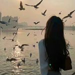 Olivia MacLeod - @ccwanwqq08 - Instagram