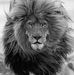 Olivia Madelin - Facebook