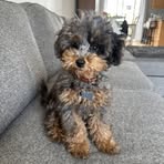 Olivia Madore - Facebook