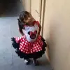 Olivia Malagonserrano - @olivia.malagonser - TikTok