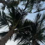 Olivia Malcolm - @luxurylivingescapes - Instagram