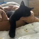 Olivia-Mae Mallett - @olivia_mae_mallett - Instagram