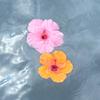 Olivia Mansfield 2 - @olivia_mansfield_2 - TikTok