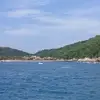 oliviamanzo45 - @oliviamanzo45 - TikTok