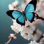 Olivia Marez - Facebook