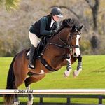 Olivia Marsh - @oliviamarsh_eq - Instagram