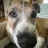Olivia - @oliviamarsh09 - TikTok