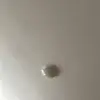 No buddy - @oliviamata01 - TikTok