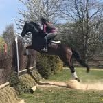 Olivia Mather - @liv.mather_eventing - Instagram