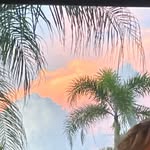Olivia Mattei - @olivia_mattei11 - Instagram
