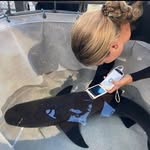 olivia - @olivia_mayfield494 - Instagram