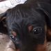 Livy Mazo - Facebook