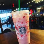 @Oliviamcauliffe - @oliviamcauliffe3 - Instagram