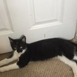 Olivia Mccafferty - @mccafferty88 - Instagram