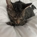 Olivia McCall - Facebook