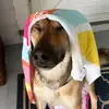 Olivia McCarthy - @olivia..mccarthyy - TikTok