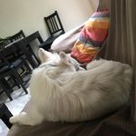 Olivia Baker Mcgovern - @olipotter57659 - Instagram