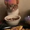 Liv_4444 - @oliviamcguire - TikTok