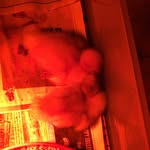 Olivia McNabb - @baby_duck_owner - Instagram