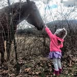 Olivia McNabb - @iraisewildthings - Instagram