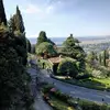 olivia - @olivia.mcnally1 - TikTok