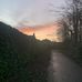 Olivia McWilliams - Facebook