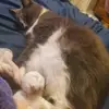 OliviaMeade2014 - @oliviameada2014 - TikTok
