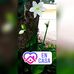 Olivia Menchaca Coronado - Facebook