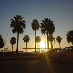 Olivia Menezes - @olivia._.14143 - Instagram