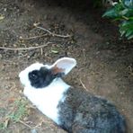 Olivia Menezes - Facebook