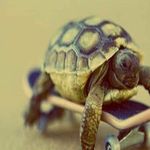 Olivia Millan - @kind_kitten_1188 - Instagram