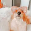 Olivia - @oliviarileymillard - TikTok