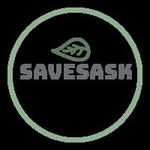 Olivia Morelli - @savesask - Instagram