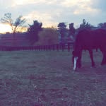 olivia morelli & putt - @bold.ambition - Instagram