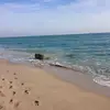 olivia morrow - @olivia.morrow5 - TikTok
