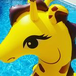 Olivia Mortimer - @little_weirdo7 - Instagram