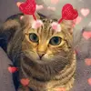 Olivia.moschetti - @olivia.moschetti - TikTok
