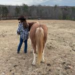 Olivia Mountz - @mountzolivia - Instagram