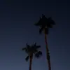 oliviamuriel08 - @oliviamuriel08 - TikTok