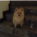 MISSING!! Olivia Murillo - @olivia_murillo.t - Instagram