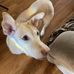 Olivia Natale - Facebook