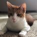 Olivia Netzke - Facebook