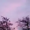 Olivia Nevin - @olivia.nevin13 - TikTok