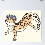 Olivia nolte - @leapordgeckolover18 - Instagram