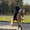 🇸🇪 Olivia  Nyström🇸🇪 - @olivia.nystrm1 - TikTok