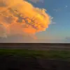 Olivia Odle - @olivia.odle.2021 - TikTok