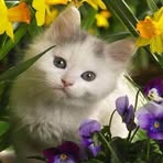 Olivia Olague - Facebook