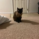 Olivia Olds - @olds.olivia - Instagram